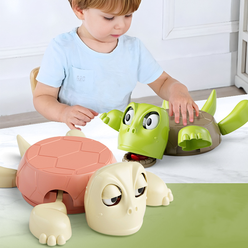 Turtle Coaster