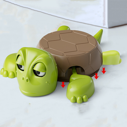 Turtle Coaster