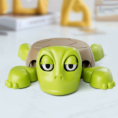 Turtle Coaster