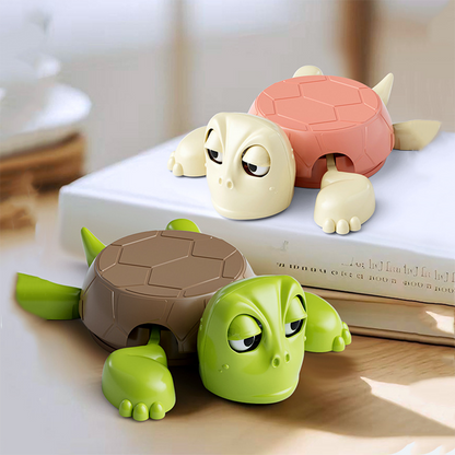 Turtle Coaster